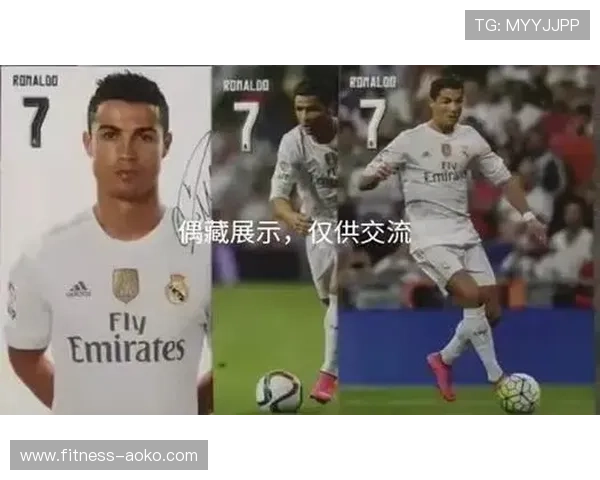 葡萄牙国家足球队明星卡收藏指南探索精彩球员历史与成就